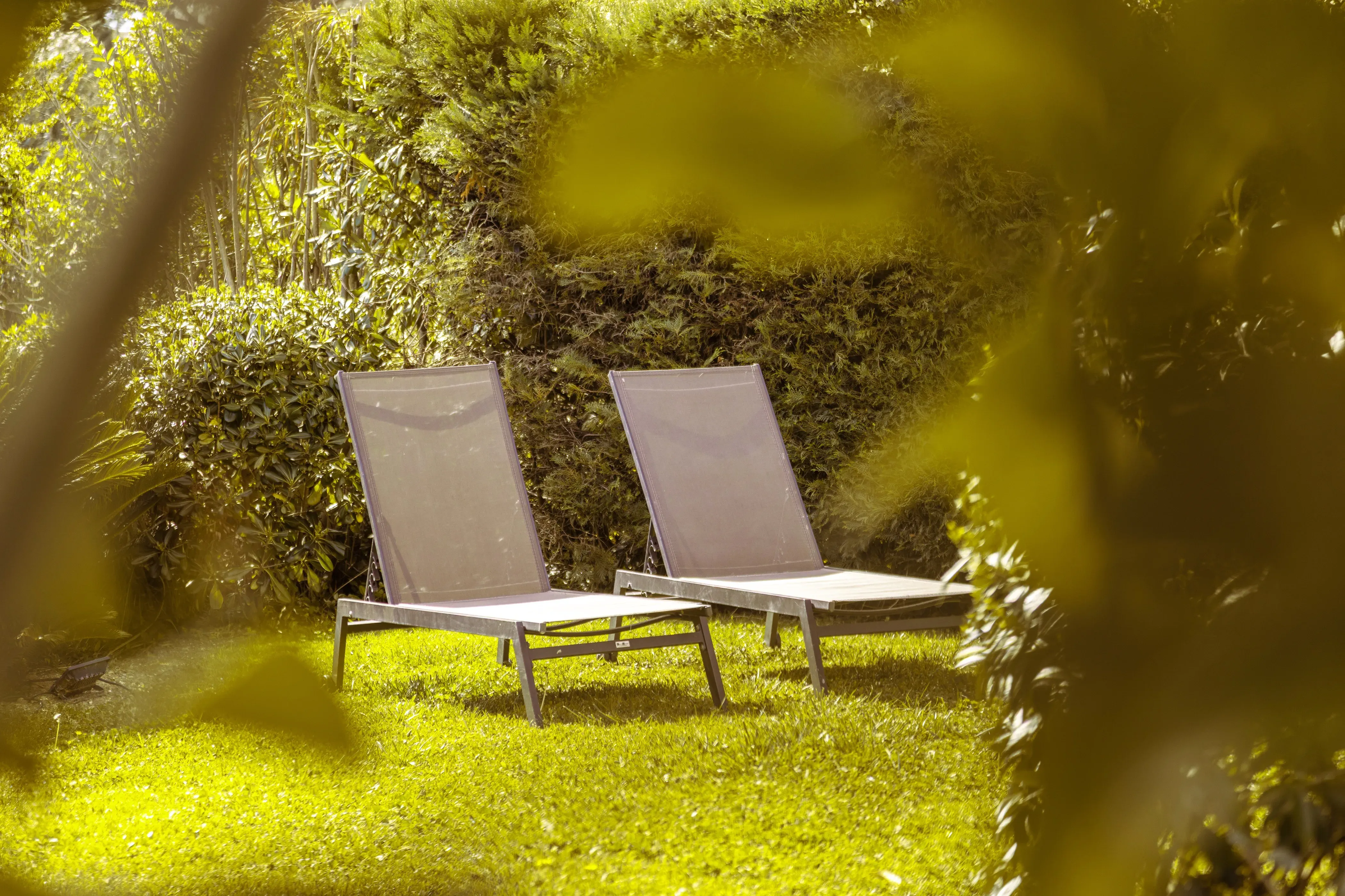 Leafy outdoor setting around the house