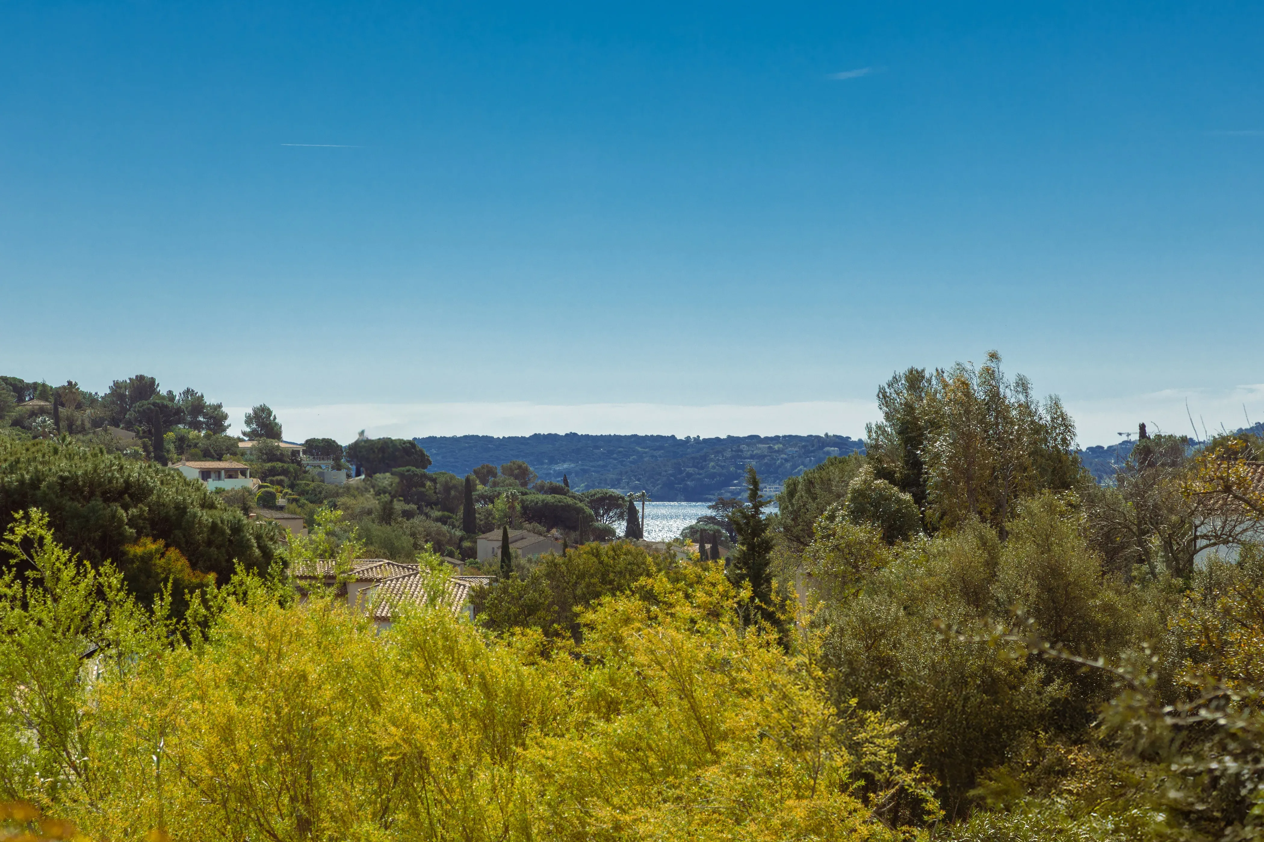 Open view across the Mediterranean garden